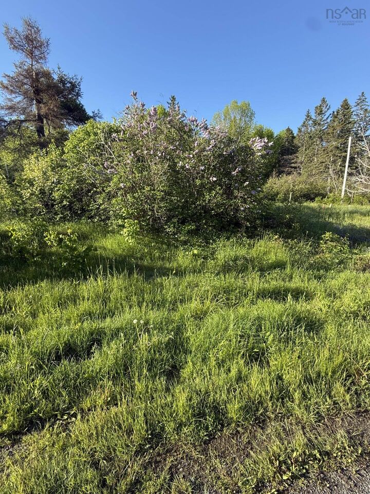 Property Photo:  21 Acres Jimtown Road, Antigonish Harbour, N.s.  NS B2G 2L2 