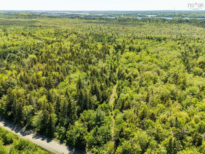 Property Photo:  Lots, Belleville Road  NS B0W 3M0 