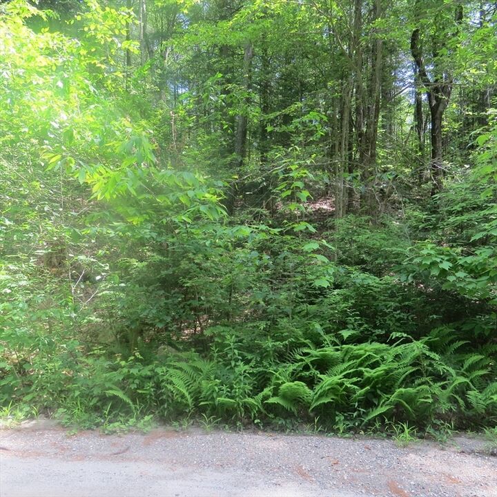 Property Photo:  Lot 1 Pratt Corner Road  MA 01054 