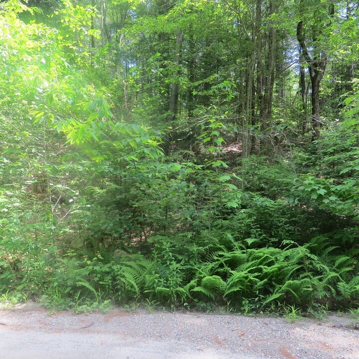 Property Photo:  Lot 1 Pratt Corner Road  MA 01054 