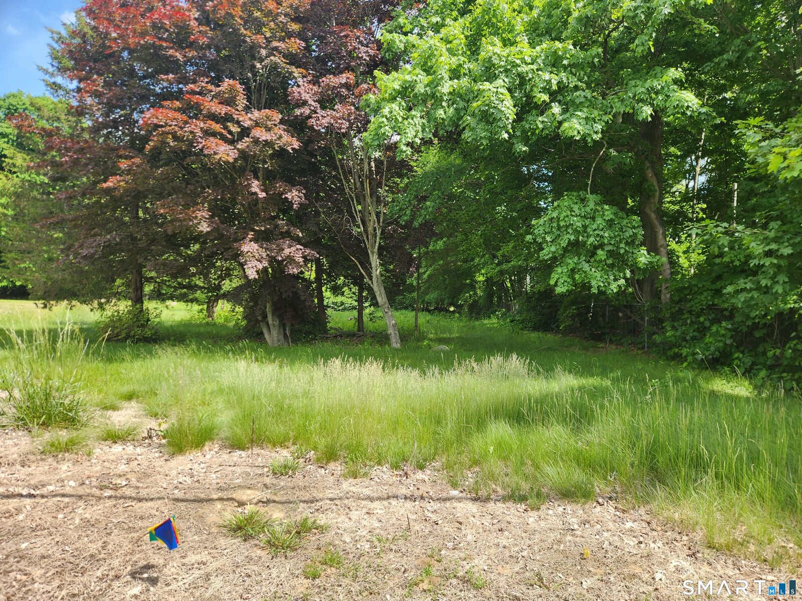 Property Photo: 242 Browning Road CT 06360