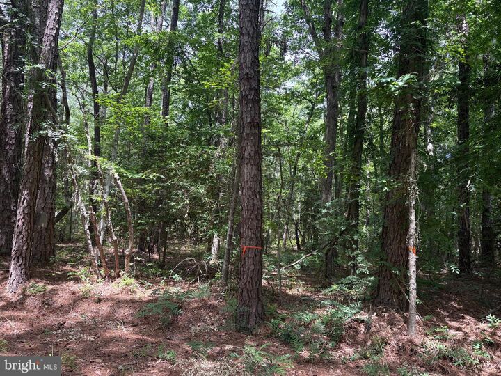 Property Photo:  Lot 27 Stotsylvania Road  VA 22469 