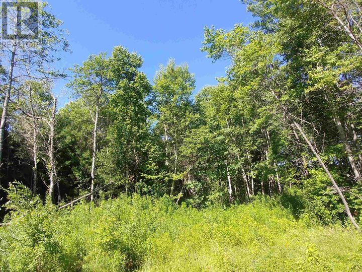 Property Photo:  Lot 13 Birch Lane  PE C0A 1L0 