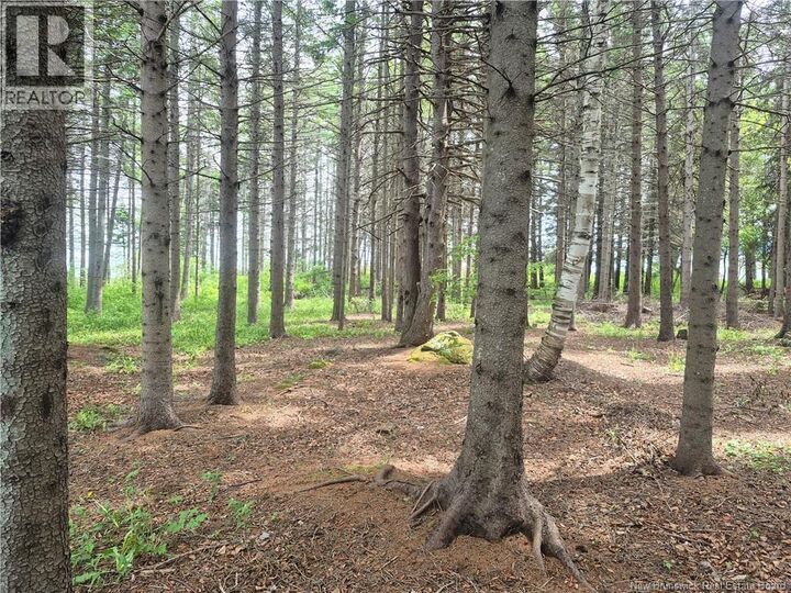Property Photo:  2.3 Acres Route 134  NB E8J 2E5 