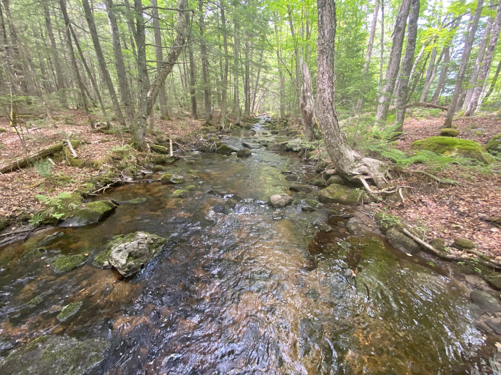 Property Photo:  783 Half Township Road  ME 04457 