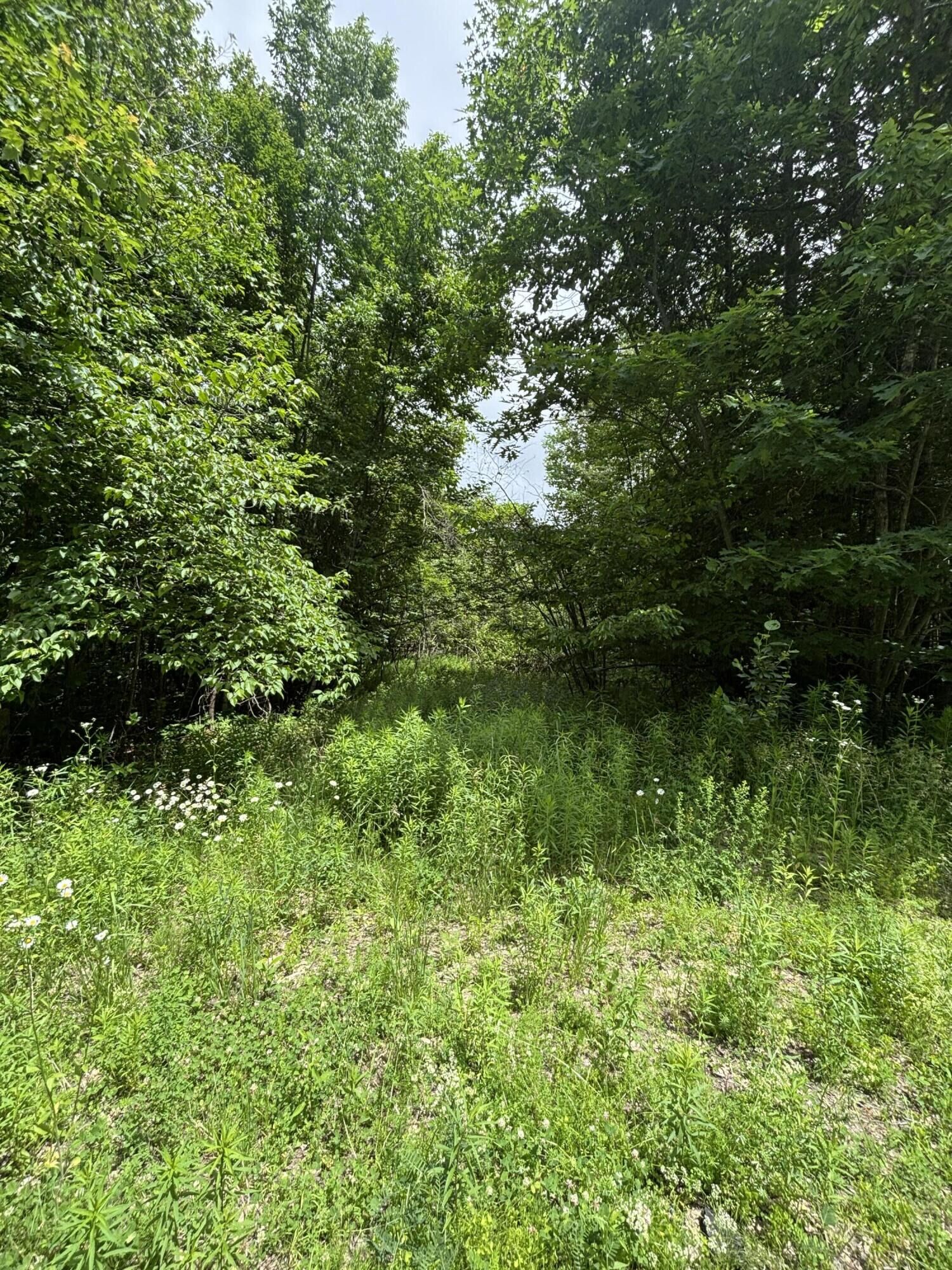 Property Photo: # Ledge Hill Road ME 04427