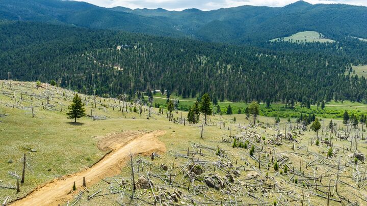 Property Photo:  Lot 52 Aspen Vally Ranches  MT 59632 