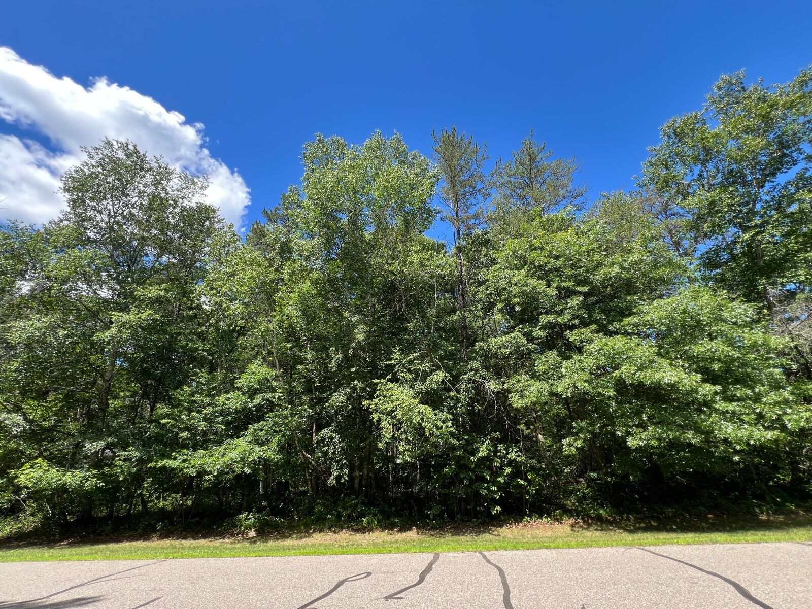 Property Photo:  Lot 2 Birch Lane  MN 56401 