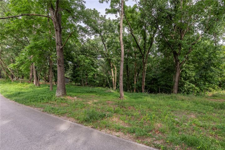 Property Photo: Lot 111 E Woodside Lane AR 72756
