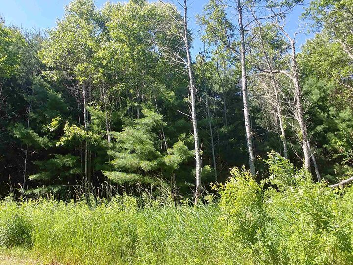 Property Photo:  Lot 12 Birch Lane  PE C0A 1L0 