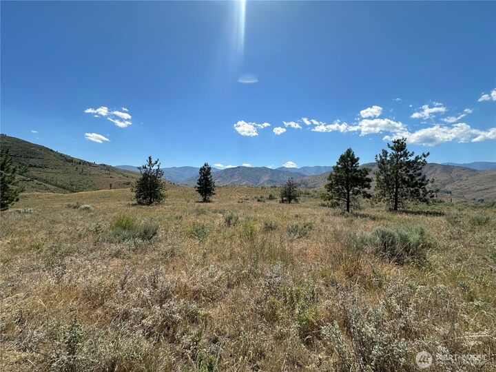 Property Photo:  0 Tbd  Peterson Ranch Road  WA 98846 