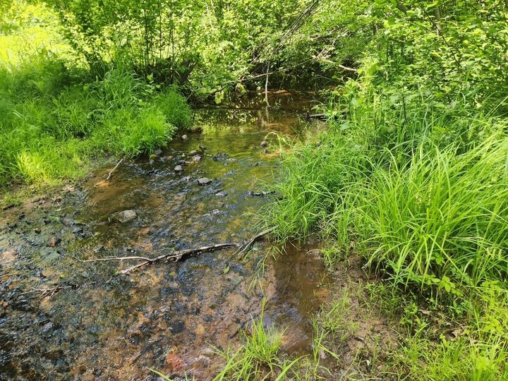 Property Photo:  12629 W Fairman Lane  WI 54548 