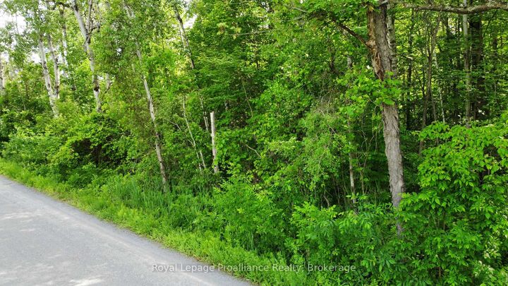 Property Photo:  0 Teal (Rp 39R9098) Road  ON K0K 3M0 