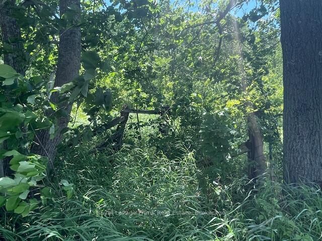 Property Photo: 0 Balsam Lake Drive ON K0M 2B0