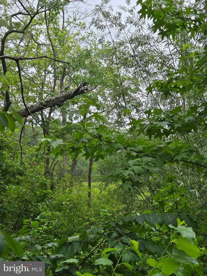 Property Photo:  Cooper Road  MD 21822 