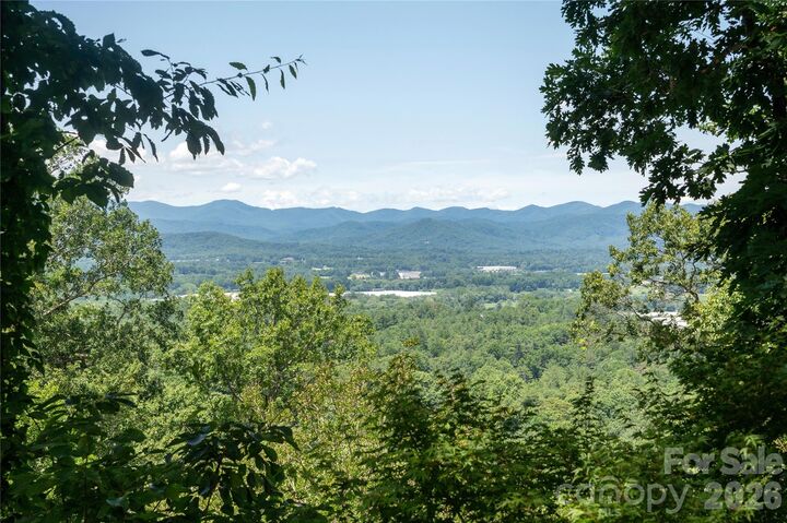 Property Photo:  615 Goldview Drive  NC 28791 