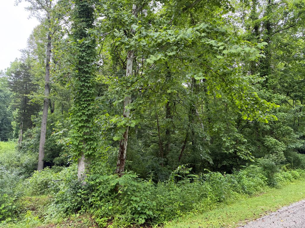 Property Photo:  00000 Mockingbird Trail  KY 41129 