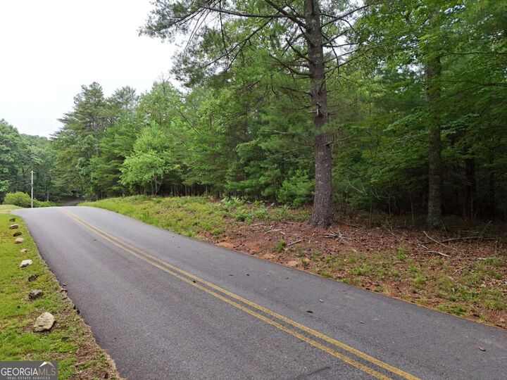 Property Photo:  Lot 3 Cook Henry Road  GA 30512 