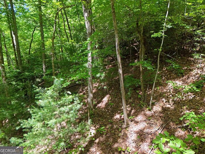 Property Photo:  Lot 12 Hightower Ridge  GA 30546 