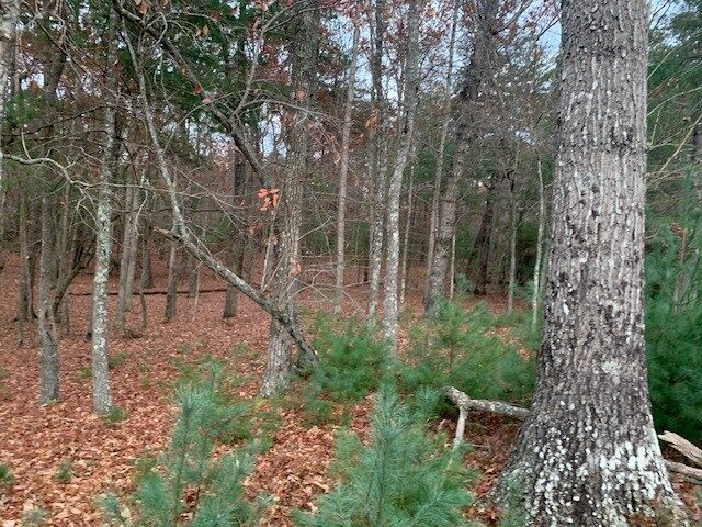 Property Photo:  Lot 4 Courtney Lane  GA 30512 
