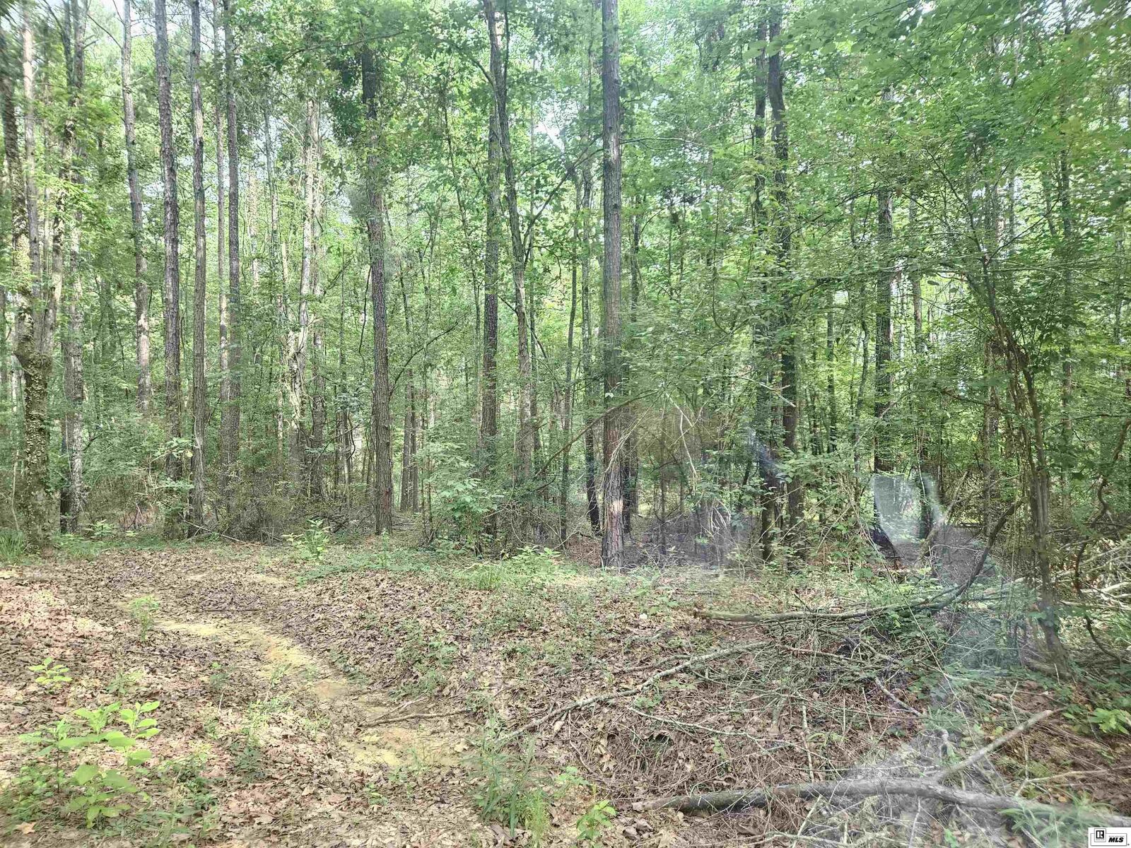 Property Photo:  00 Seven Runs Road  LA 71418 