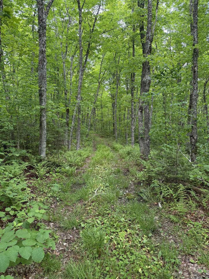 Lot (Pid 20098885) Truro Road — photo 1