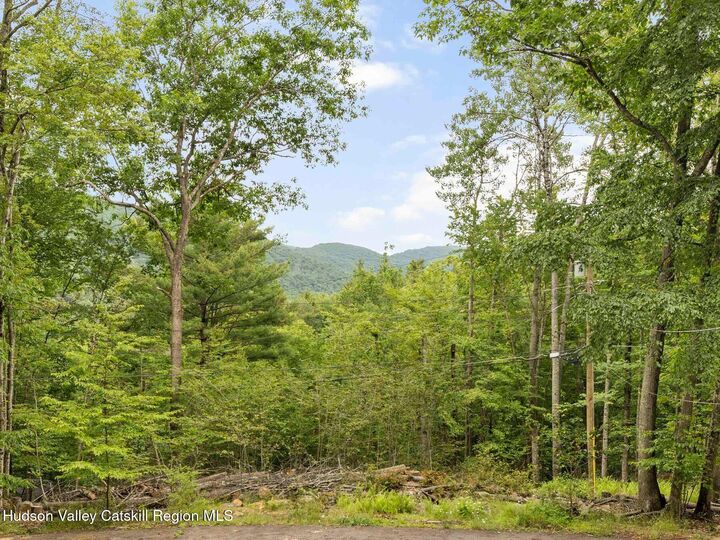 Property Photo:  60 Muddy Brook  NY 12464 