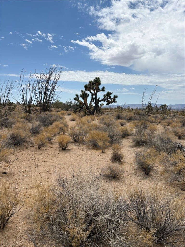 Property Photo:  244-08-203 Organ Pipe Pl  AZ 86438 