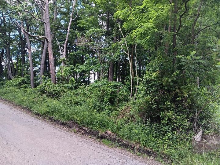 Property Photo:  0 Pletcher Rd  PA 15490 