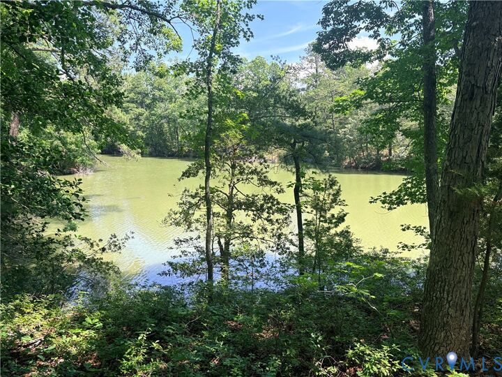 Property Photo: 0 Millenbeck Prong Road VA 22503