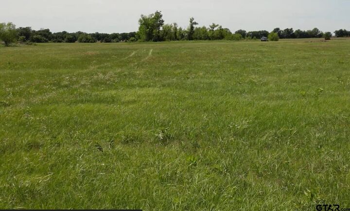 Property Photo:  Tbd Hwy 24  TX 75460 