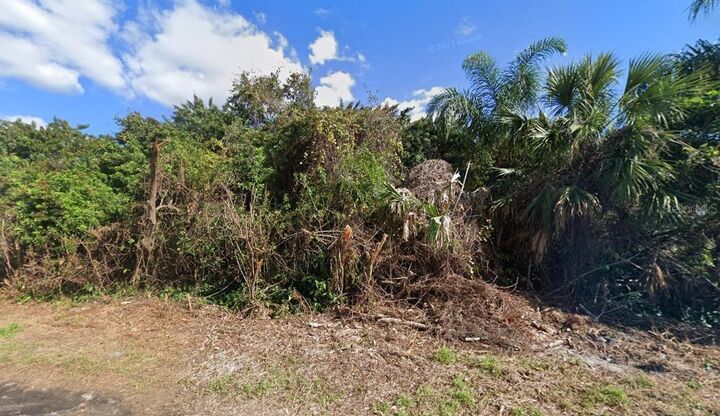 Property Photo:  20197 Astoria Avenue  FL 33952 