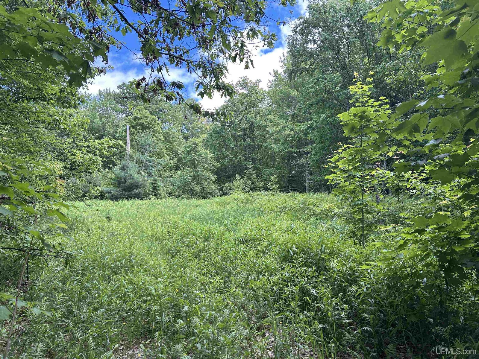 Property Photo:  391 N Carlshend Road  MI 49885-0000 