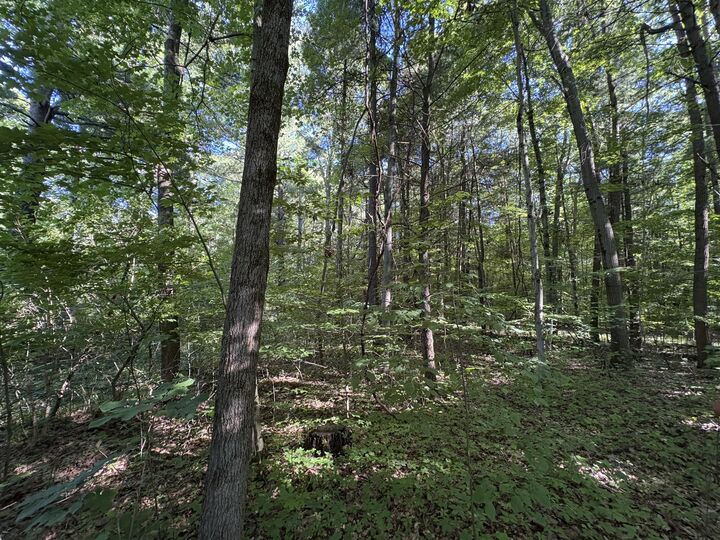Property Photo:  104th Avenue  MI 49010 