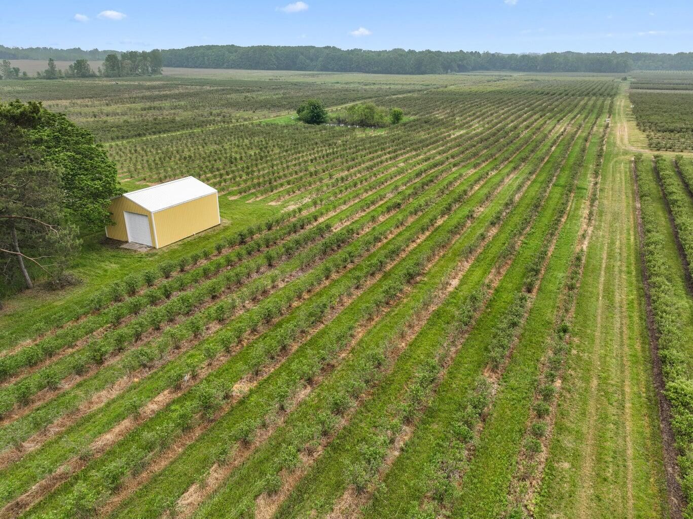 Property Photo: 2031 Lynch Road MI 49022