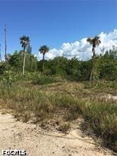 Property Photo:  5390 Game Bird Lane  FL 33922 