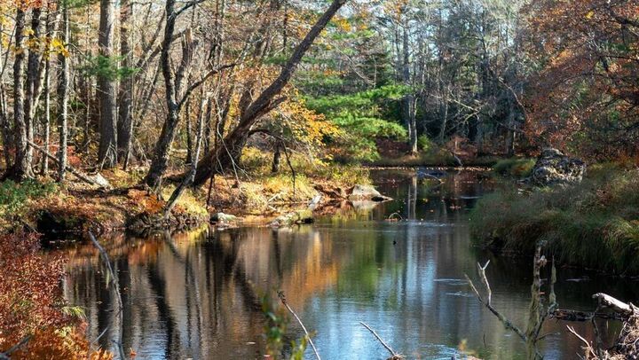 Property Photo:  Br-4 Bowers Road  NS B0T 1W0 
