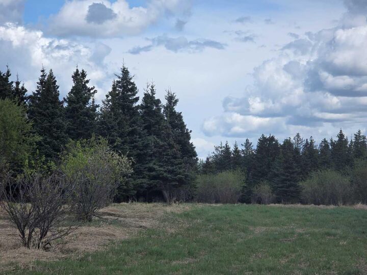 Sw22-74-6-W6 63 Range Road — photo 1