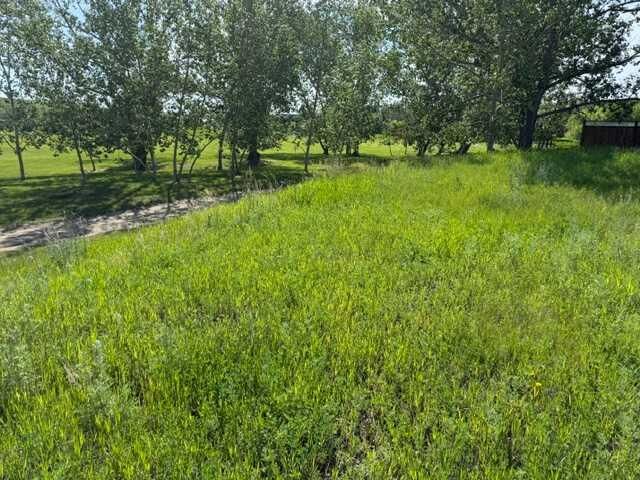 3 Oxford Drive — photo 1
