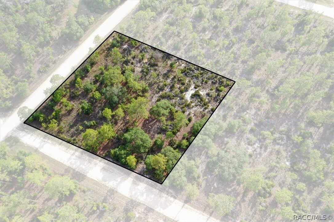 Property Photo:  0000 NE 132nd Lot 5 Terrace  FL 32696 
