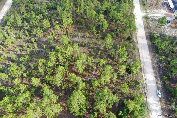 Property Photo:  0000 NE 131st Lot 8 Terrace  FL 32696 