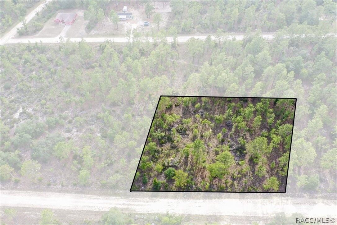 Property Photo:  0000 NE 132nd Lot 3 Terrace  FL 32696 