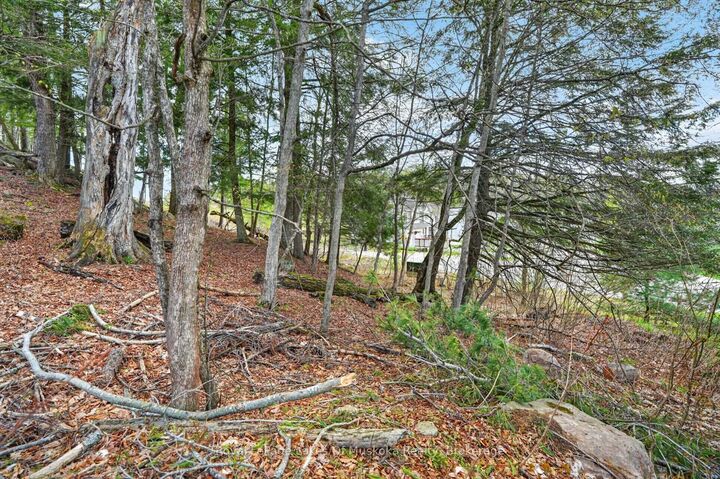 Photo de la propriété:  32 Gainsborough Road  ON P1L 1W8 