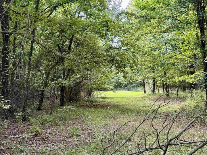 Property Photo:  582 County Road 2291  AR 72840 