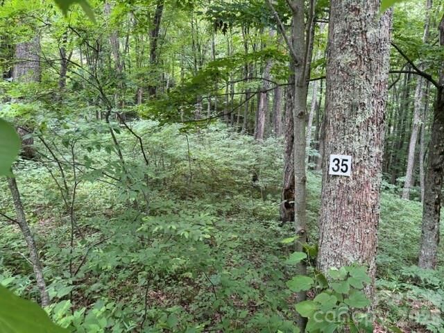 Property Photo:  Lot 35 Odalu Trail 35  NC 28751 