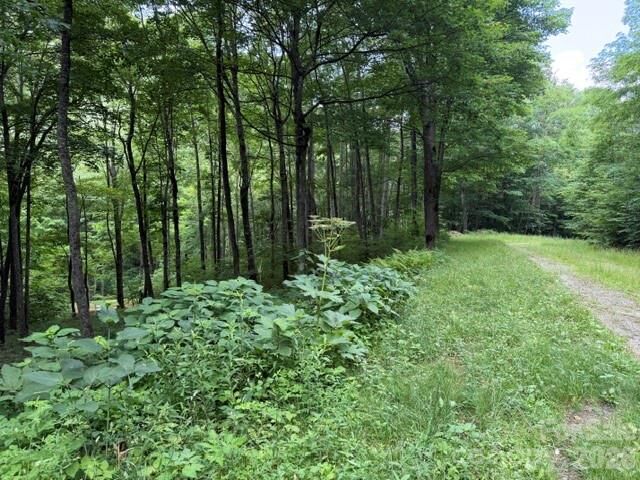 Property Photo:  Lot 59 Odalu Trail 59  NC 28751 