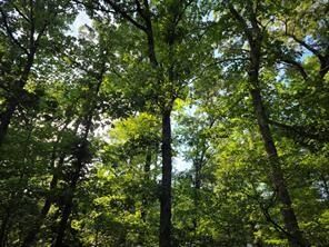 Property Photo:  0 Timber Ridge  TX 75770 