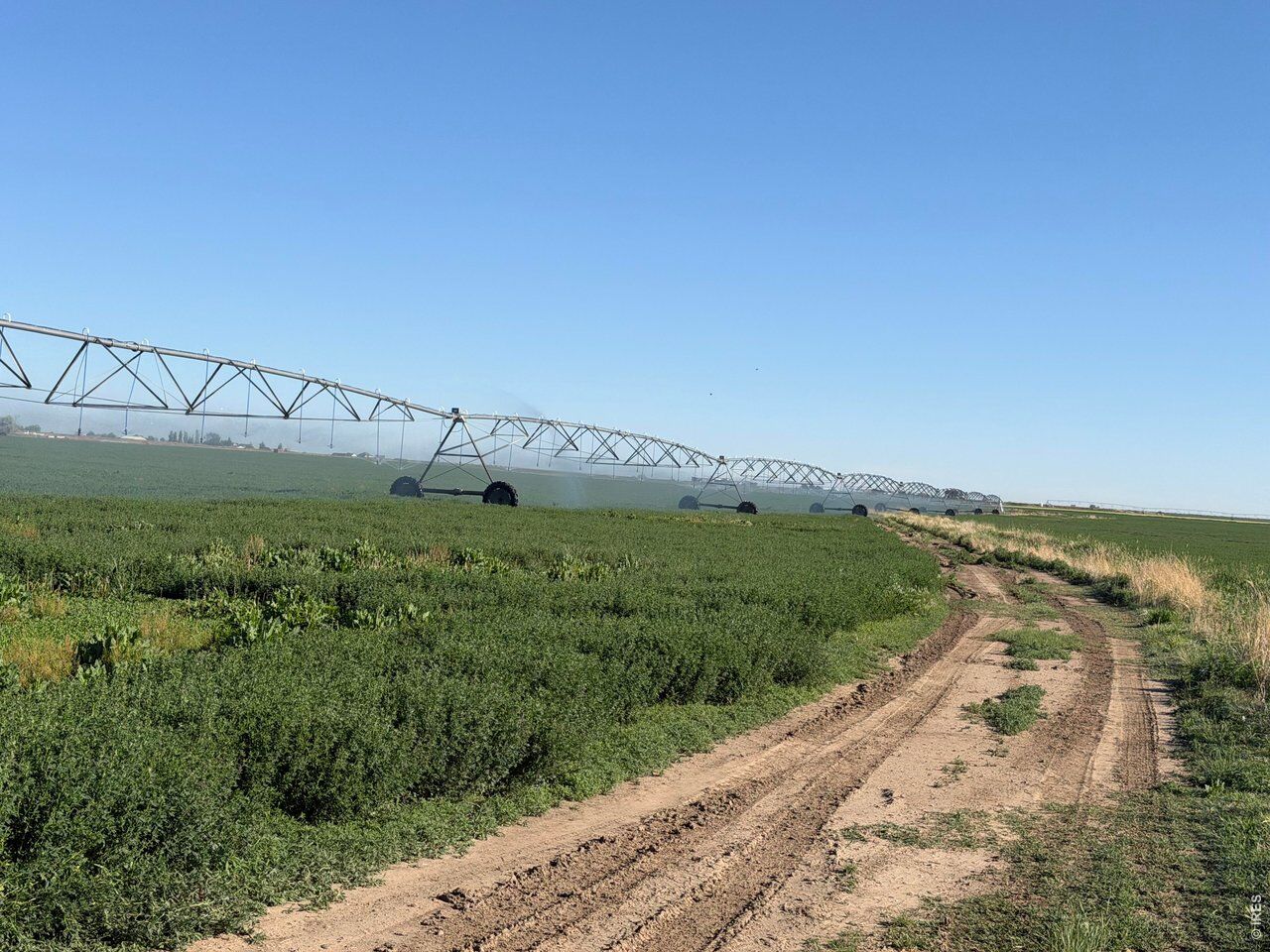Property Photo:  County Road 70  CO 80615 