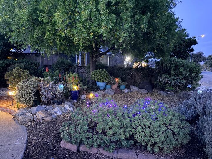 Property Photo:  4685 Piper Street  CA 94538 