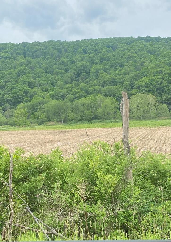 Property Photo:  0 State Route 34  NY 14859 